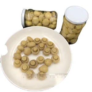 Premium Whole Canned Mushrooms High Quality Edible Fungi Convenient Canned Food for Cooking & Culinary Use