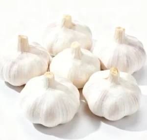 Price Fresh Garlic