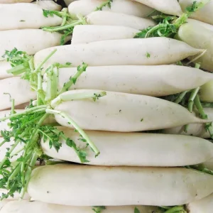 Price Supplier Bulk Fresh Radish ISO 22000 HACCP GLOBAL GAP Certified New Crop From China Cruciferous Vegetables