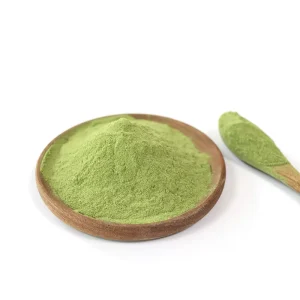 Private Label Spinach Juice Powder AD Dried Process Bulk