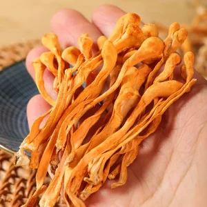 Pure Cordyceps Militaris Flower Dry Mushroom Nutritious Soup Ingredient Natural Edible Fungi Factory Price