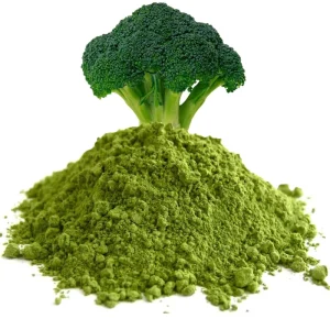Pure Natural Freeze Dried Broccoli Sprout Powder FD Processed Vegetables in Bulk Vacuum Preserved Packaging