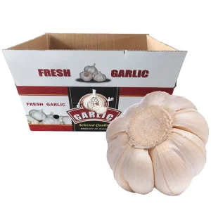 Pure White Garlic Vegetables Garlic Normal White Garlic