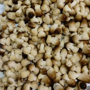 Ready to Eat Straw Mushrooms Canned Mushrooms for Restaurant and Home Cooking Straw Mushroom in Brine