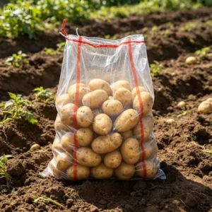 Red Edge Transparent PP Woven Potato Packaging Bags