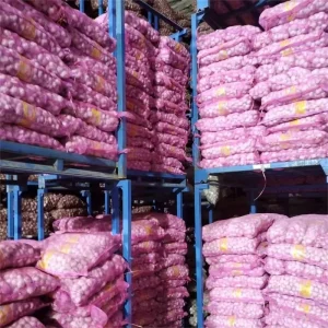 Selling Garlic Export Fresh Garlic White Purple and Red Garlic Ail