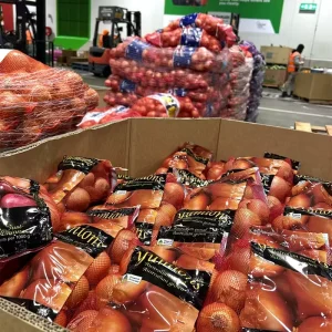 Shandong Farm Discount Sale Yellow Onion Fresh High Quality Onion Healthy Vegetables