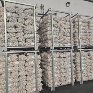 Shandong Pure White Fresh Garlic Bulk Mesh Bag Packaging Agricultural Product Supplier