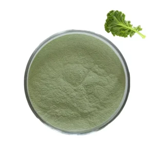 Supply 100% Natural Vegetable Powder Pure Kale Powder