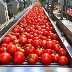 Tomato Sauce Making Machine and Tomato Paste Production Line, Customized Tomato Processing Plant from Washing to Filling