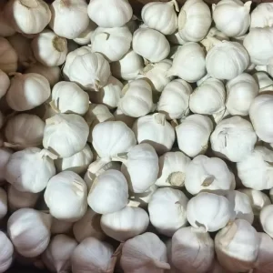 Top Selling Quantity Supply Vegetables Natural Nutritious Fresh Red Garlic From Egypt Origin Manufacturer