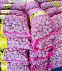 Top Selling Quantity Supply Vegetables Natural Nutritious Fresh Red Garlic From Egypt Origin Manufacturer