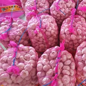 Top tier Professional Fresh Garlic Exporter Providing High Quality Garlic Firm Cloves Free Rot Mold Optimum Brand Shandong
