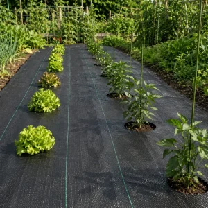 UV-Stabilized Black PP Woven Weed Control Mat Heavy-Duty Garden and Nursery Use