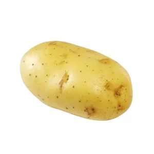 Vegetable High Quality Potato Fresh Potato for Sale Fresh Holland Potatoes