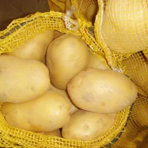 Vegetables for New Season Potato Fresh Potato China Vegetables Export Export Overseas to Produce Potato Price
