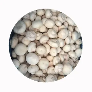 White Cultivated Seasoned IQF Frozen Champignon Mushroom