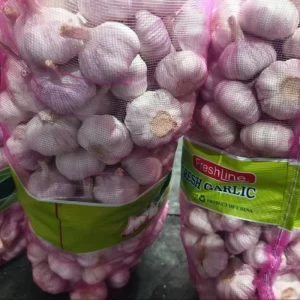 White Garlic Seeds New Crop Direct From China