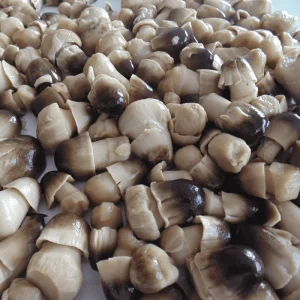 Whole Straw Mushrooms in Brine, Canned, Ready to Eat