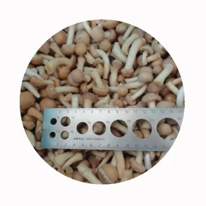 XMSD Freeze Dried Mushrooms Nameko Edibled Dice Sliced Chunk Diced Block Cubes Whole Fresh No Salt Added Available