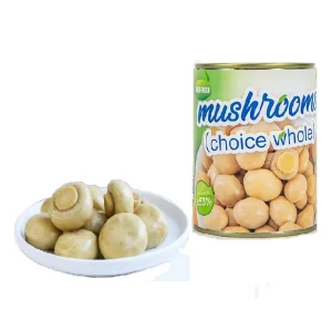 of High Quality Canned Mushrooms Ready to Eat